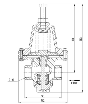 Regulador de presi&oacute;n criog&eacute;nica de baja temperatura de acero inoxidable DYS-20